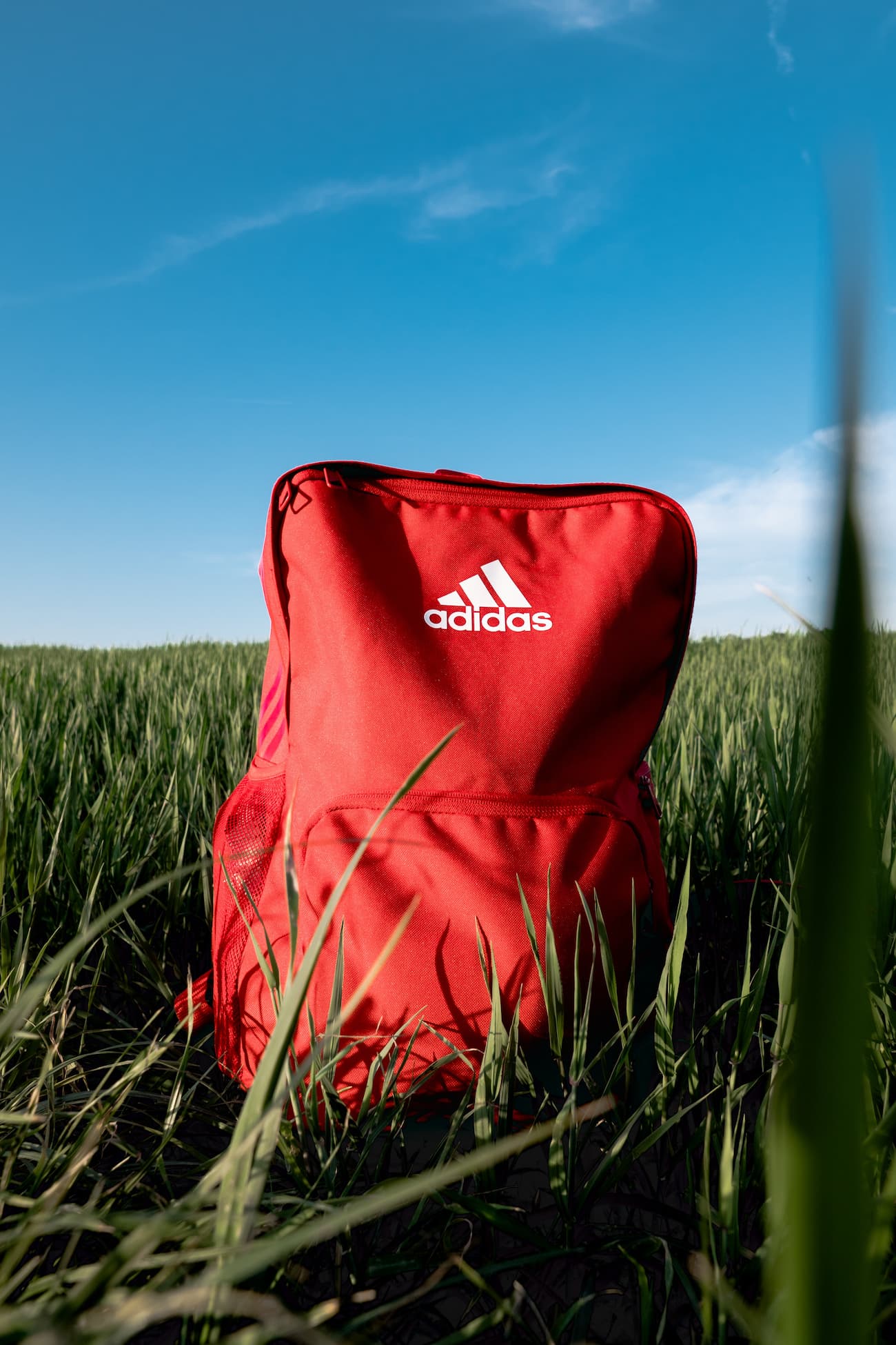 Addidas bag in long grass